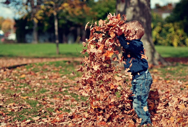 SPM - Autumn Home Maintenance Tips 2018